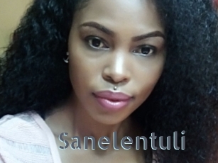 Sanelentuli