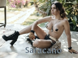 Saracano