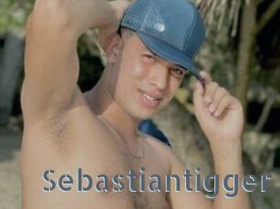 Sebastiantigger