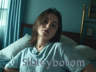 Sibleyborom
