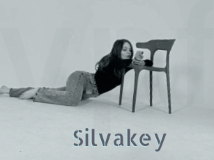 Silvakey