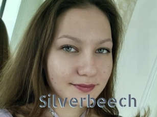 Silverbeech