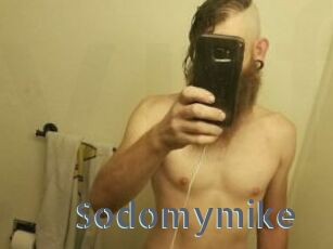 Sodomymike