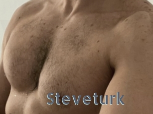 Steveturk