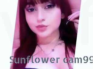 Sunflower_cam99