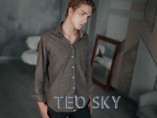 TEO_SKY