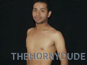 THEHORNYDUDE