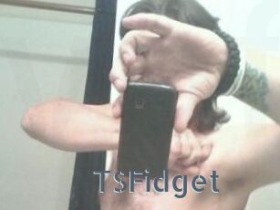 TSFidget