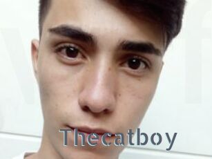 Thecatboy