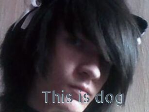 This_is_dog