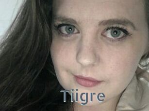 Tiigre_