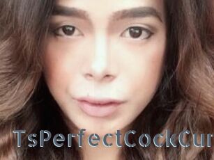 TsPerfectCockCum