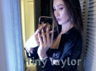 Tiny_taylor