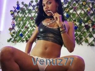 Venuz77