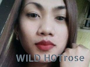 WILD_HOTrose