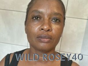 WILD_ROSEY40