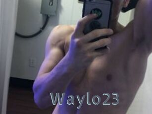 Waylo23