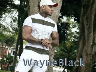 WayneBlack