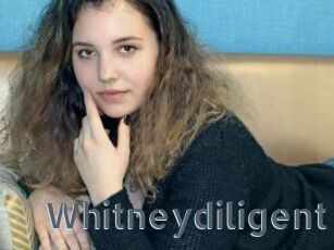 Whitneydiligent