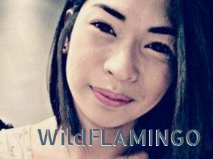WildFLAMINGO