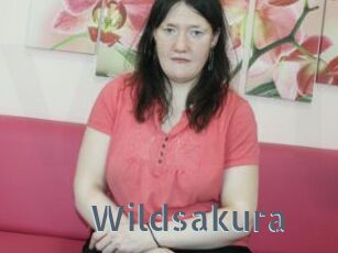 wildsakura Vidéos Porno FR