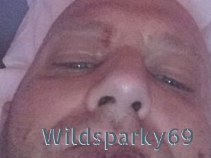 Wildsparky69