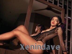 Xenindave