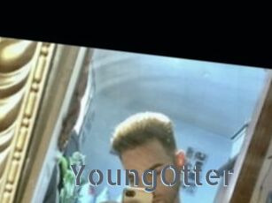 YoungOtter