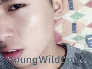 YoungWildCock4u