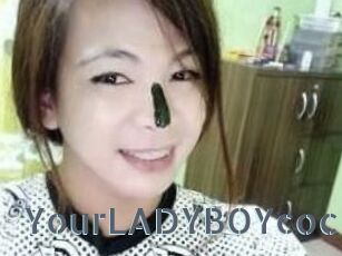 YourLADYBOYcock