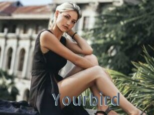 Yourbird