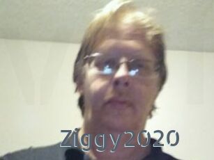 Ziggy2020