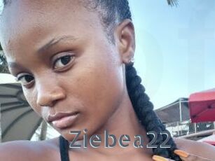 Ziebea22