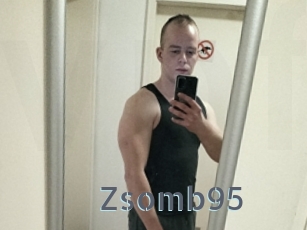 Zsomb95